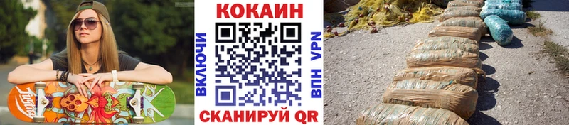 что такое   Курчалой  мега зеркало  COCAIN Columbia 