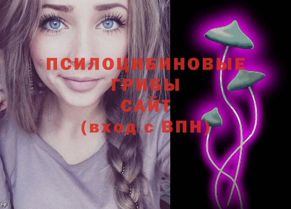 мяу мяу мука Приозерск