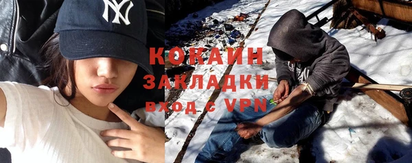 прущие грибы Балабаново