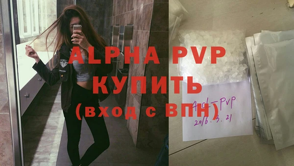 шишки Беломорск