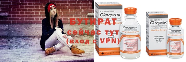 шишки Беломорск