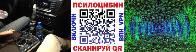 Галлюциногенные грибы MAGIC MUSHROOMS  MEGA как зайти  Курчалой  продажа наркотиков 