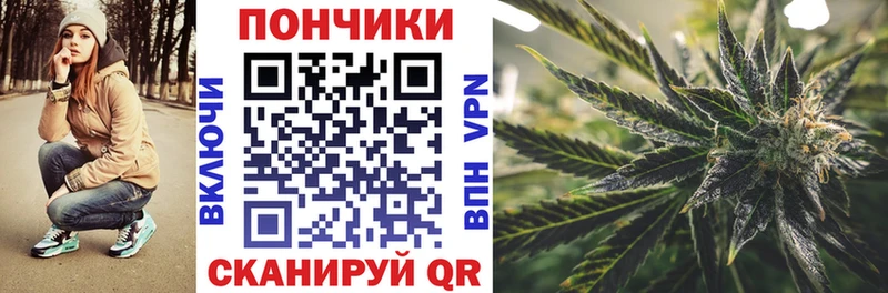 mega маркетплейс  как найти наркотики  Курчалой  Каннабис марихуана 